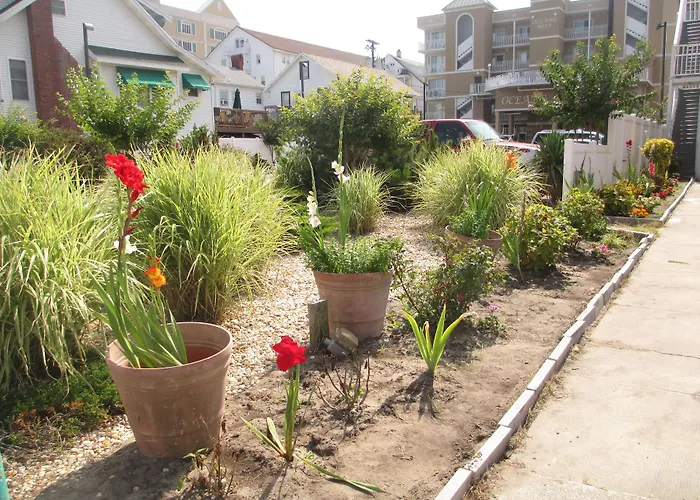 Apartamento Nock Ocean City